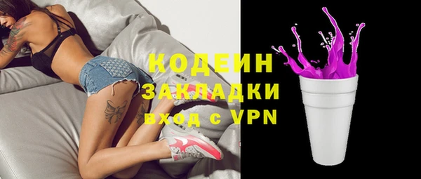 соль ск Новозыбков