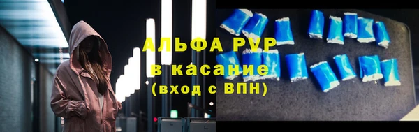 соль ск Новозыбков