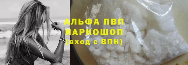 соль ск Новозыбков