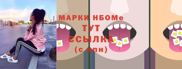 соль ск Новозыбков