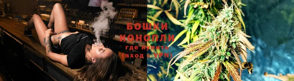 бошки Новокубанск